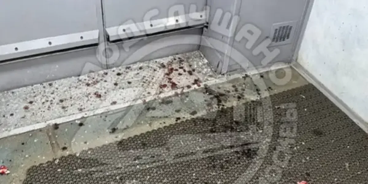 И как их наказать? Банда «зумеров»до 16 лет разбила 20 стекол в электричке и выстрелила в лицо машинисту И как их наказать? Банда «зумеров»до 16 лет разбила 20 стекол в электричке и выстрелила в лицо машинисту