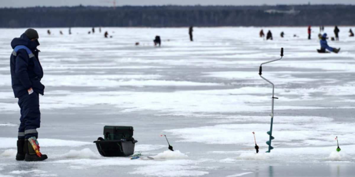 «Каток» вместо моря: Финский залив впервые за 15 лет полностью встал, но радость будет недолгой «Каток» вместо моря: Финский залив впервые за 15 лет полностью встал, но радость будет недолгой
